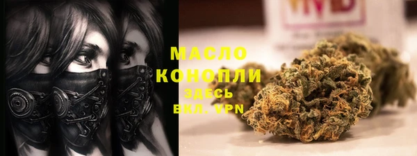 хмурый Дмитровск