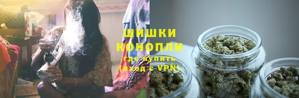 хмурый Дмитровск