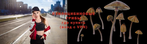 СК Дмитриев