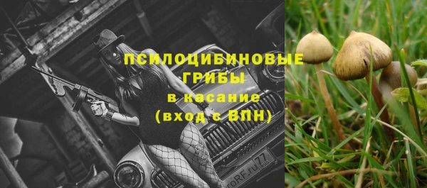 хмурый Дмитровск