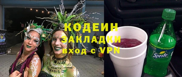 хмурый Дмитровск