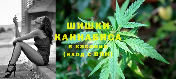 хмурый Дмитровск