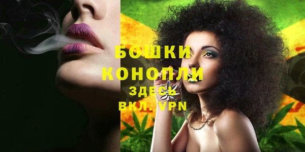 СК Дмитриев